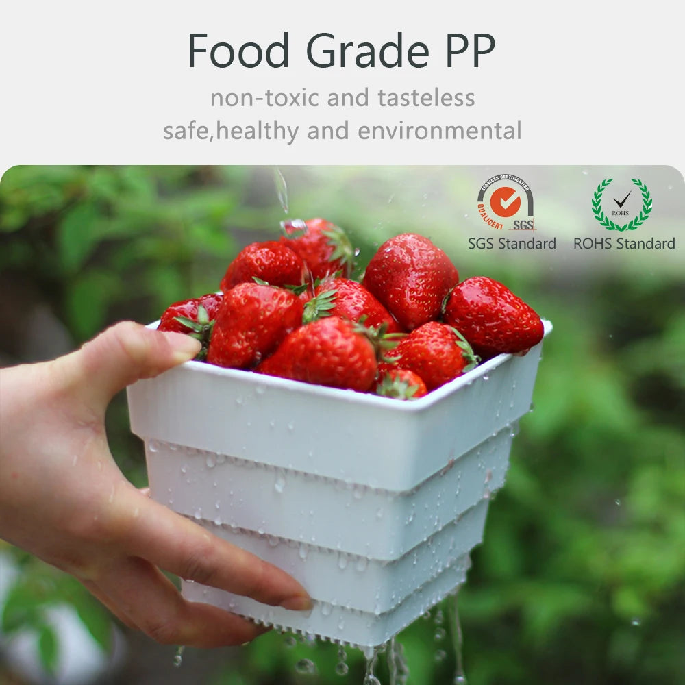 6 Pack Square Succulent Pots - Air Prunning Plastic Planters for Cactus