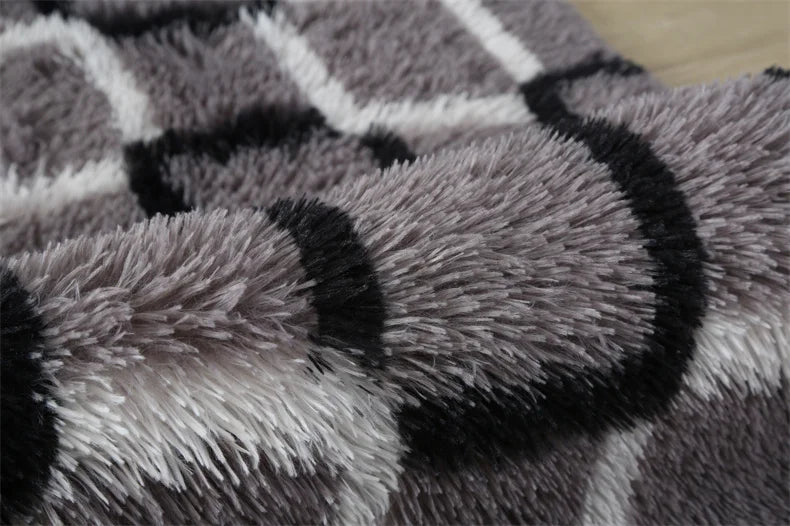 Premium Fluffy Area Rug Cute Shag Carpet Extra Soft and Shaggy Carpets