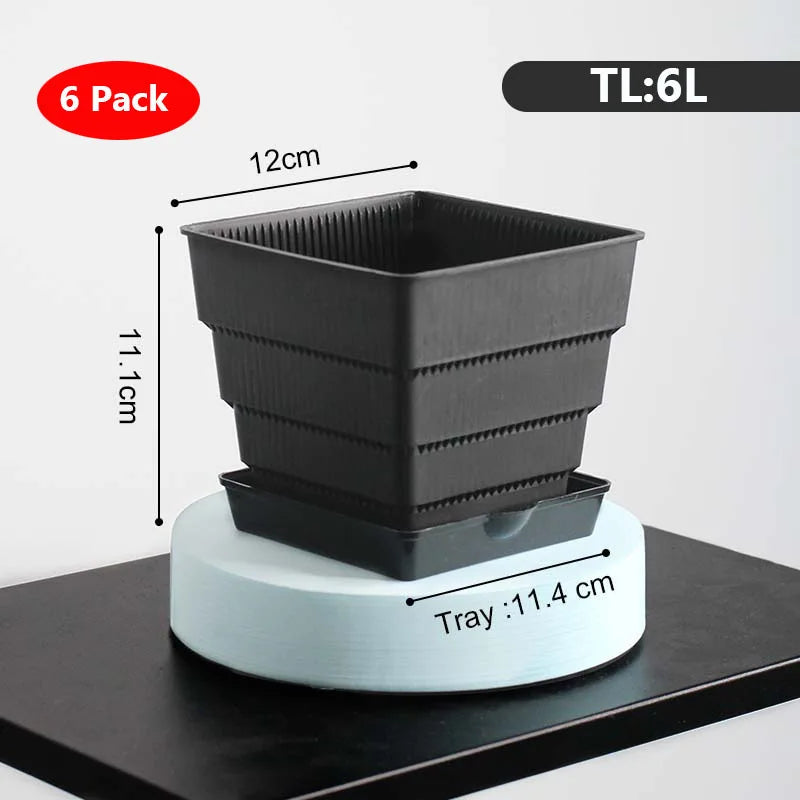 6 Pack Square Succulent Pots - Air Prunning Plastic Planters for Cactus