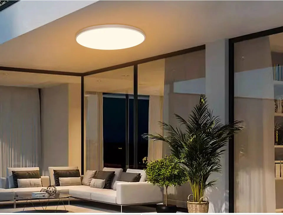 Smart WiFi LED Ceiling Light 24W Cozylife APP Control Voice Control