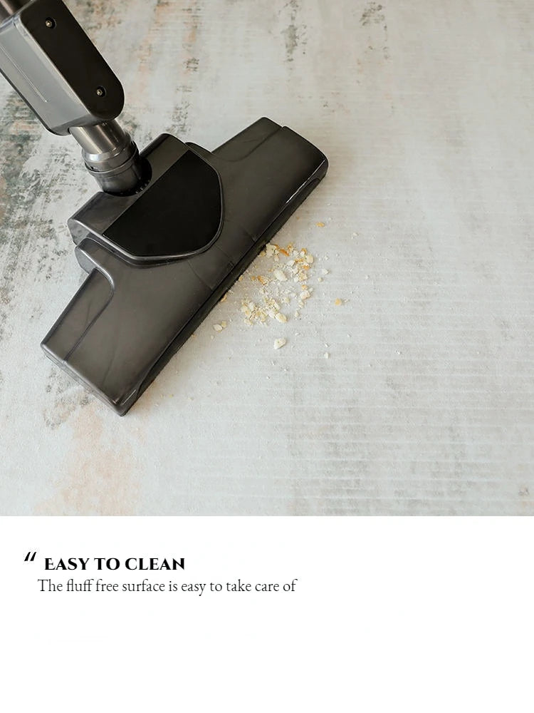 Carpets for Living Room Decoration Washable Floor Lounge Rug Large Area