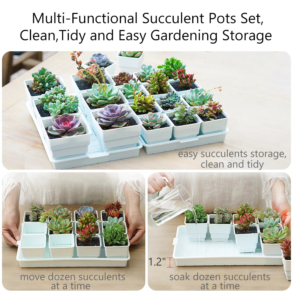 Meshpot Succulent Pots Succulent Planters with Tray
