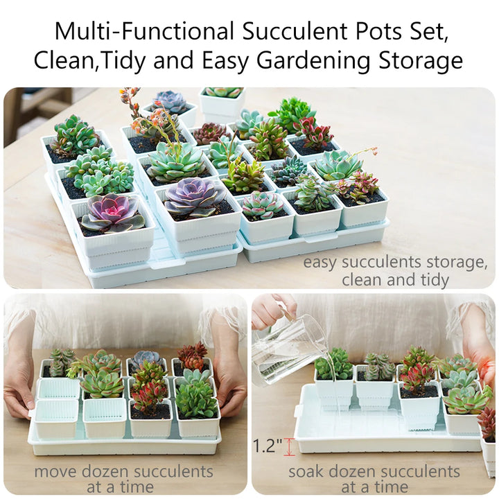 Meshpot Succulent Pots Succulent Planters with Tray