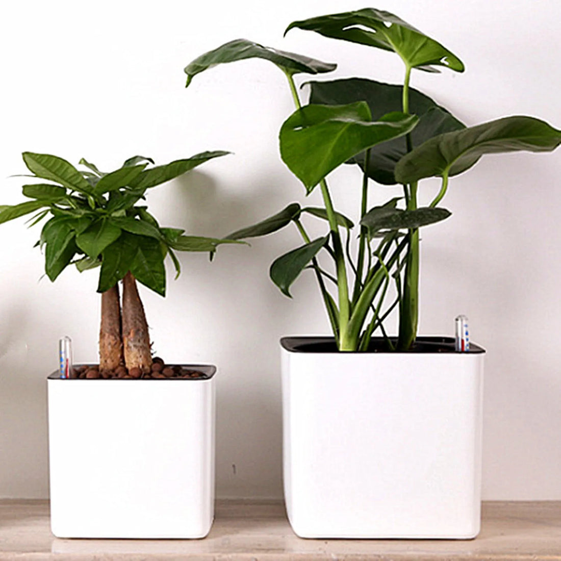 Self Watering Planter White Flower Pot with Water