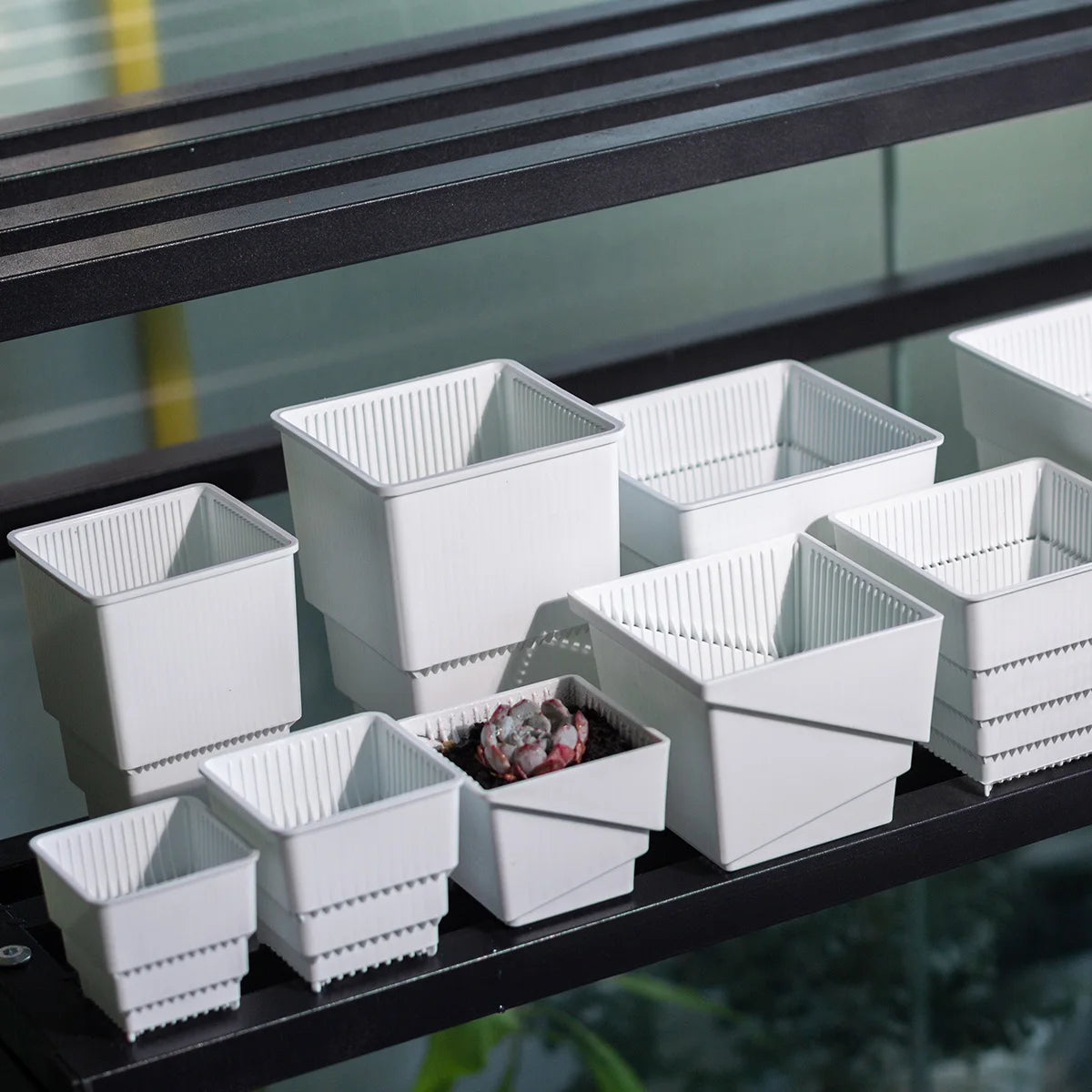 6 Pack Square Succulent Pots - Air Prunning Plastic Planters for Cactus