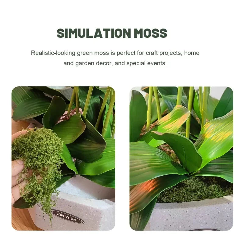 500/30G Eternal Artificial Green Moss Lawn Mini Landscape Fake Grass