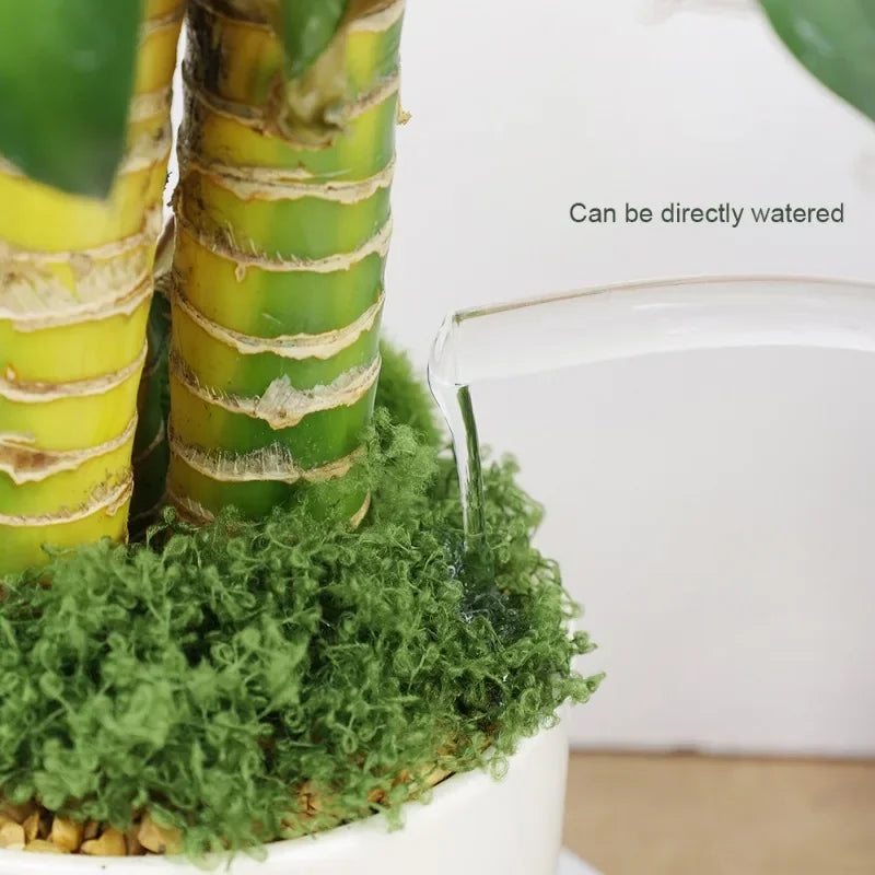 500/30G Eternal Artificial Green Moss Lawn Mini Landscape Fake Grass