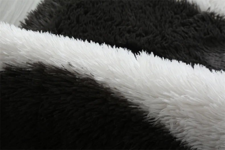 Premium Fluffy Area Rug Cute Shag Carpet Extra Soft and Shaggy Carpets