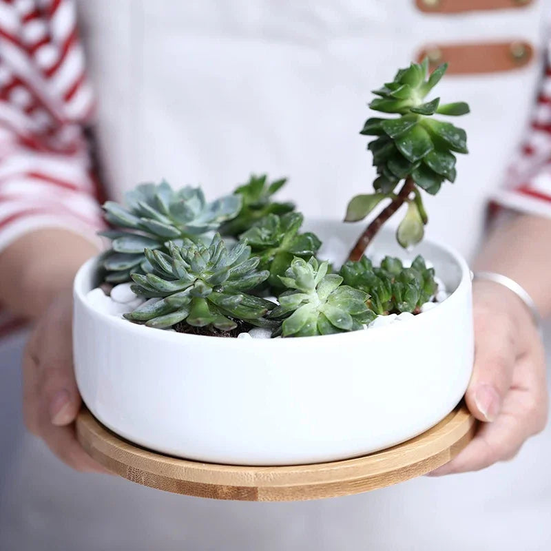 Round White Ceramic Succulent Planter Pot