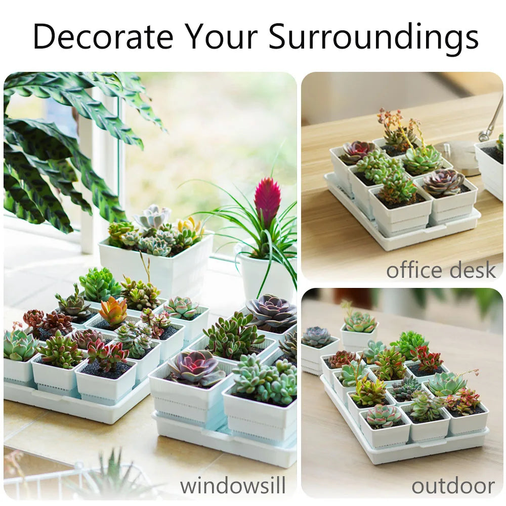 Meshpot Succulent Pots Succulent Planters with Tray