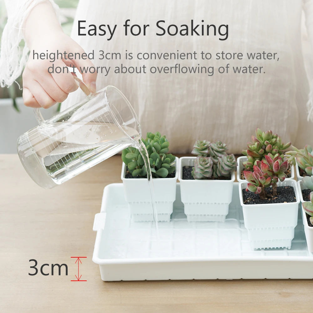 Meshpot Succulent Pots Succulent Planters with Tray