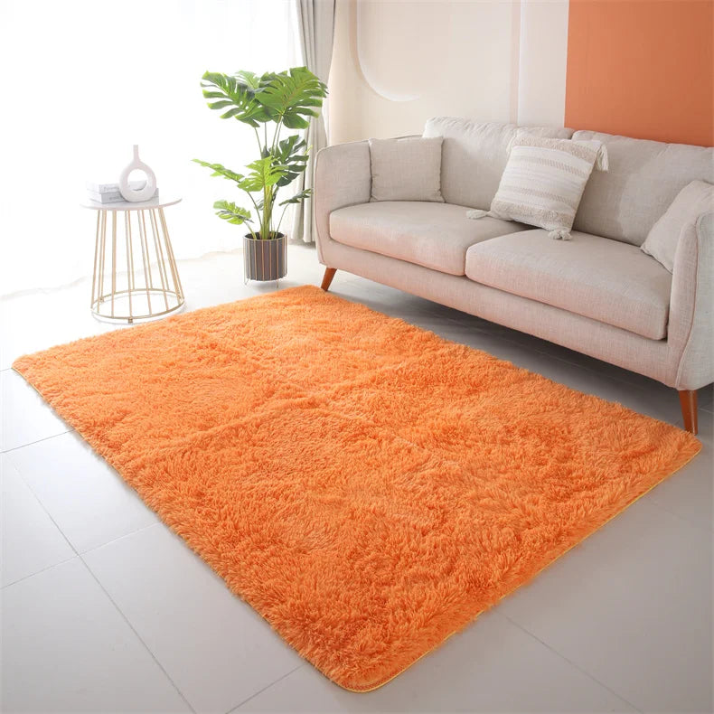 Premium Fluffy Area Rug Cute Shag Carpet Extra Soft and Shaggy Carpets