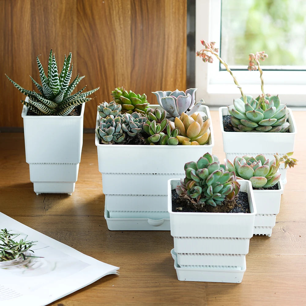 6 Pack Square Succulent Pots - Air Prunning Plastic Planters for Cactus