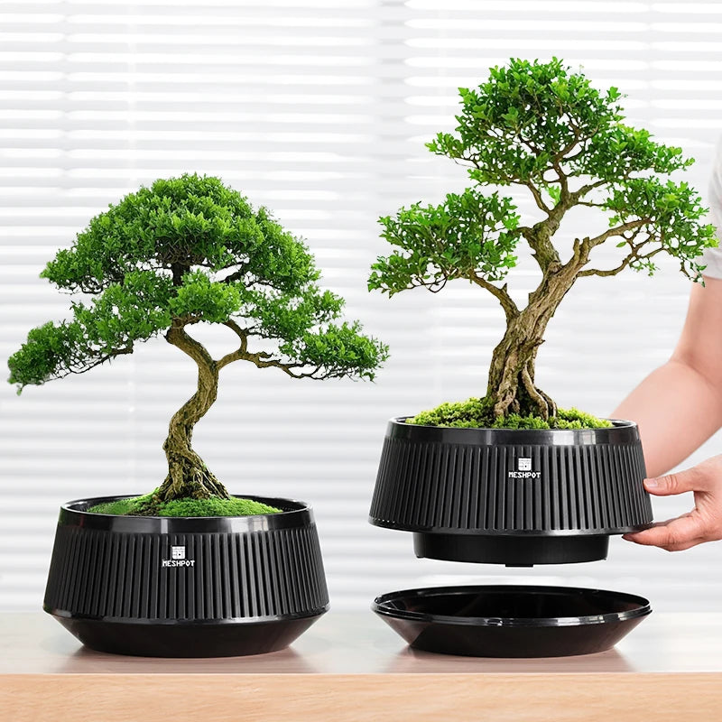 Meshpot Bonsai Pot with Saucer Plastic Flower Pot