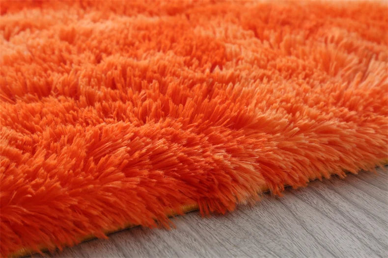 Premium Fluffy Area Rug Cute Shag Carpet Extra Soft and Shaggy Carpets
