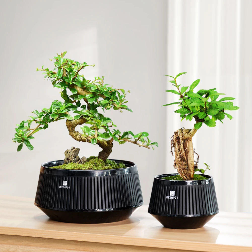 Meshpot Bonsai Pots with Drainage Tray and Excellent Airflow