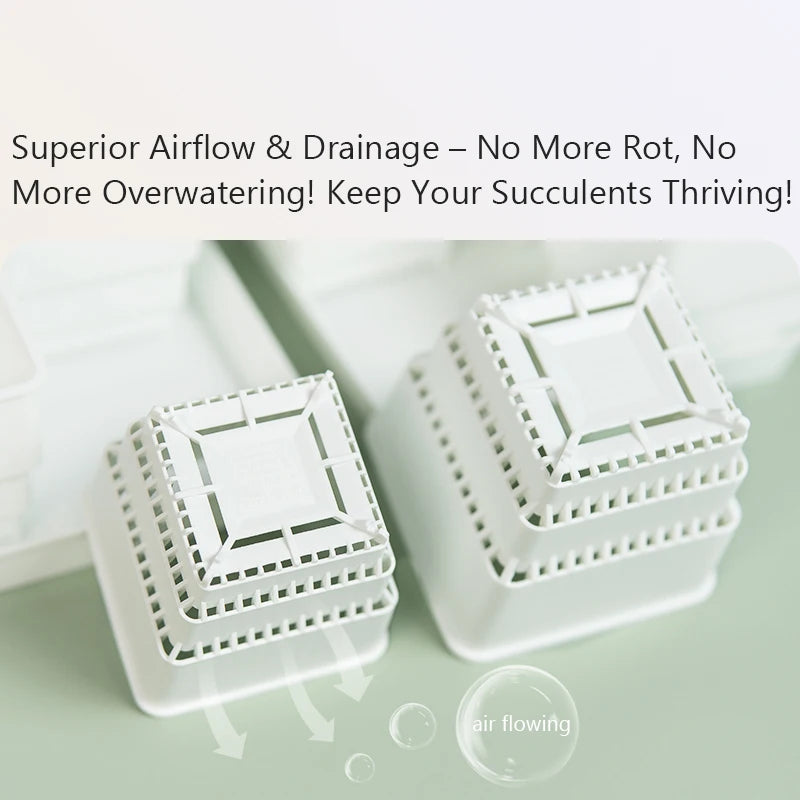 6 Pack Square Succulent Pots - Air Prunning Plastic Planters for Cactus