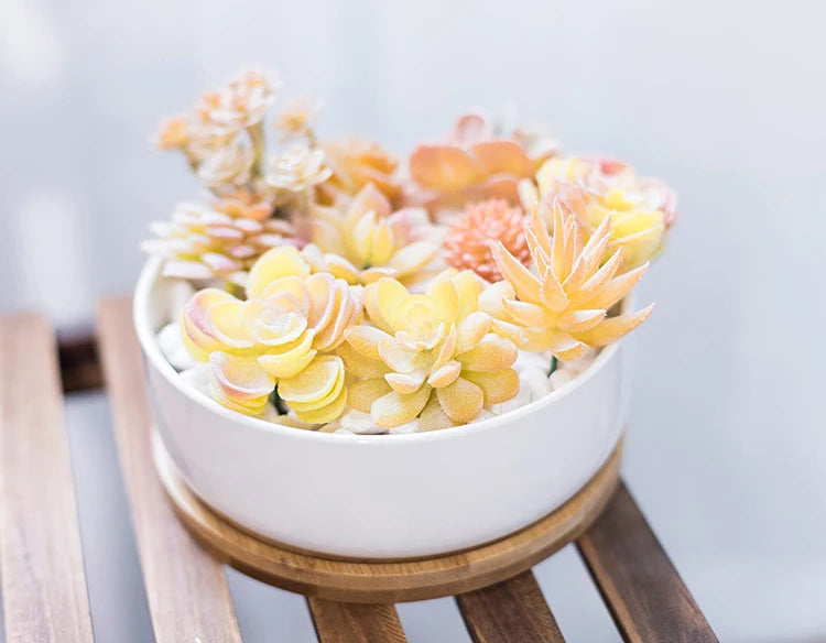 Round White Ceramic Succulent Planter Pot