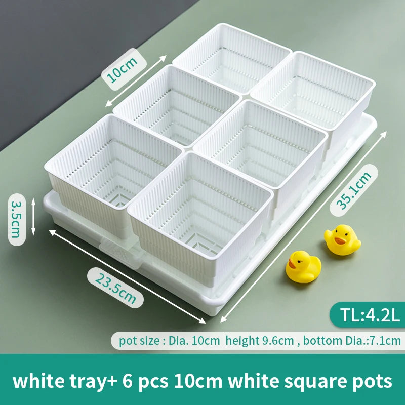 Meshpot Succulent Pots Succulent Planters with Tray