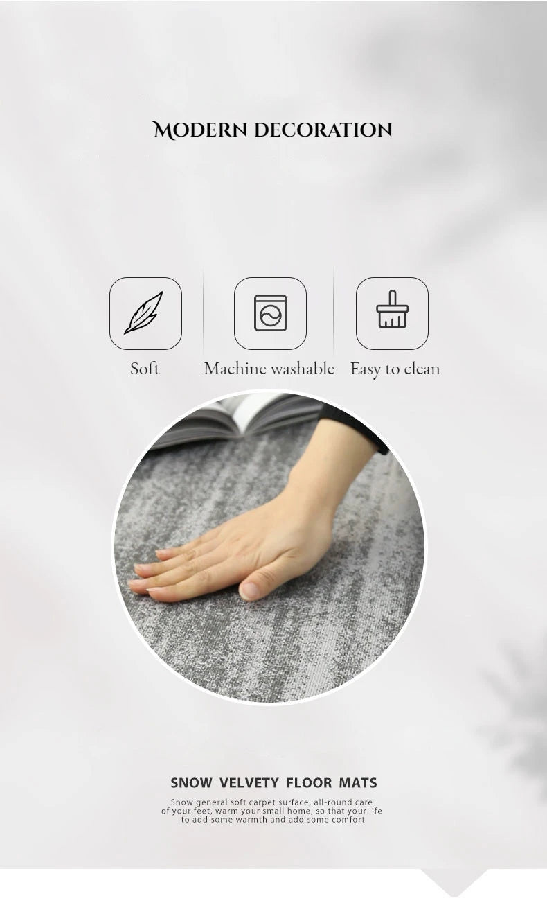 Carpets for Living Room Decoration Washable Floor Lounge Rug Large Area