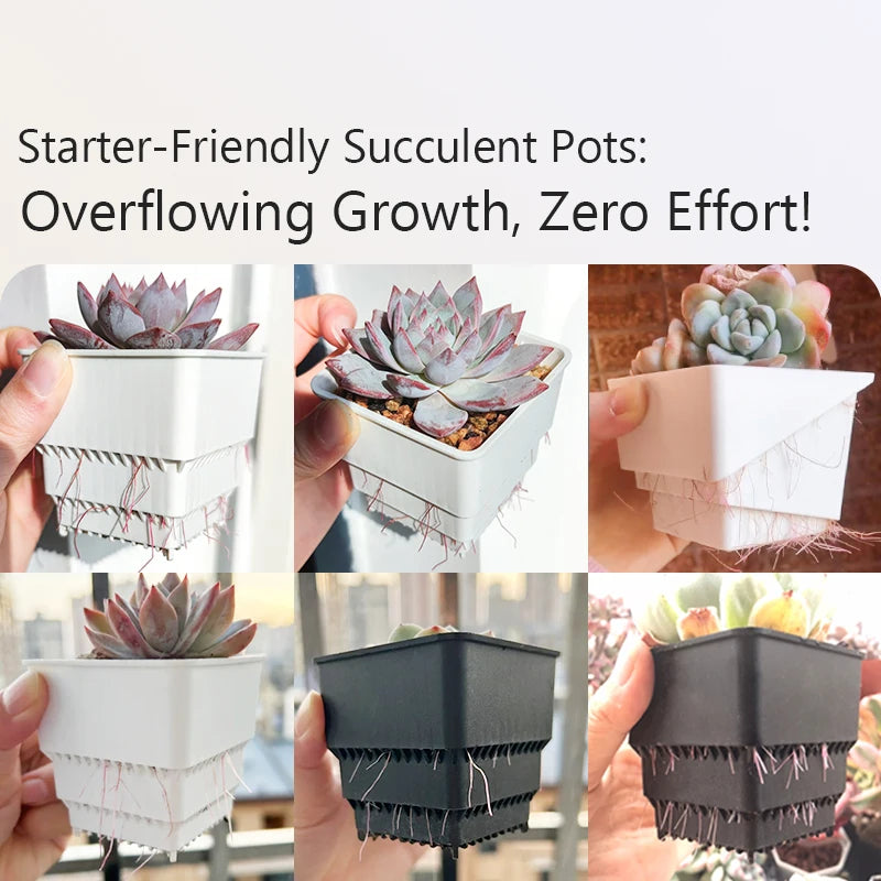 6 Pack Square Succulent Pots - Air Prunning Plastic Planters for Cactus