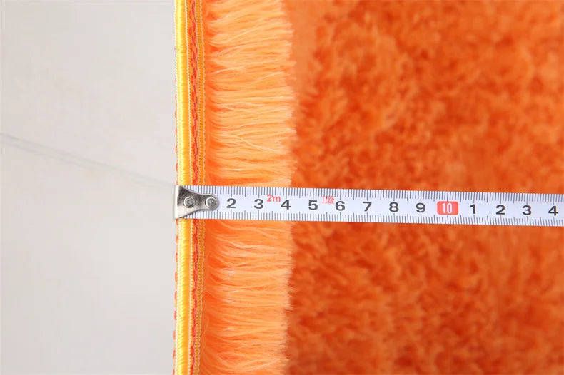 Premium Fluffy Area Rug Cute Shag Carpet Extra Soft and Shaggy Carpets
