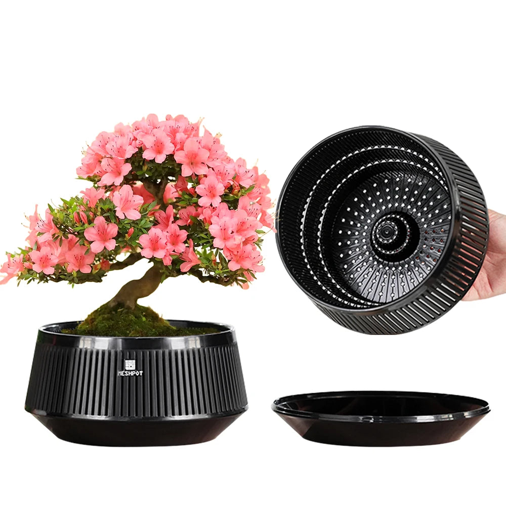 Meshpot Bonsai Pots with Drainage Tray and Excellent Airflow