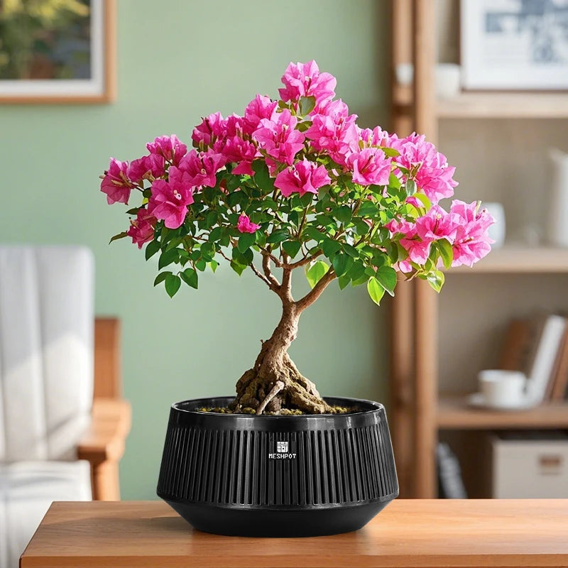 Meshpot Bonsai Pot with Saucer Plastic Flower Pot