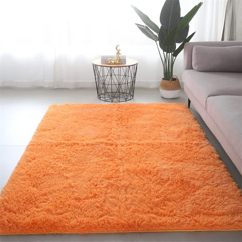 Premium Fluffy Area Rug Cute Shag Carpet Extra Soft and Shaggy Carpets