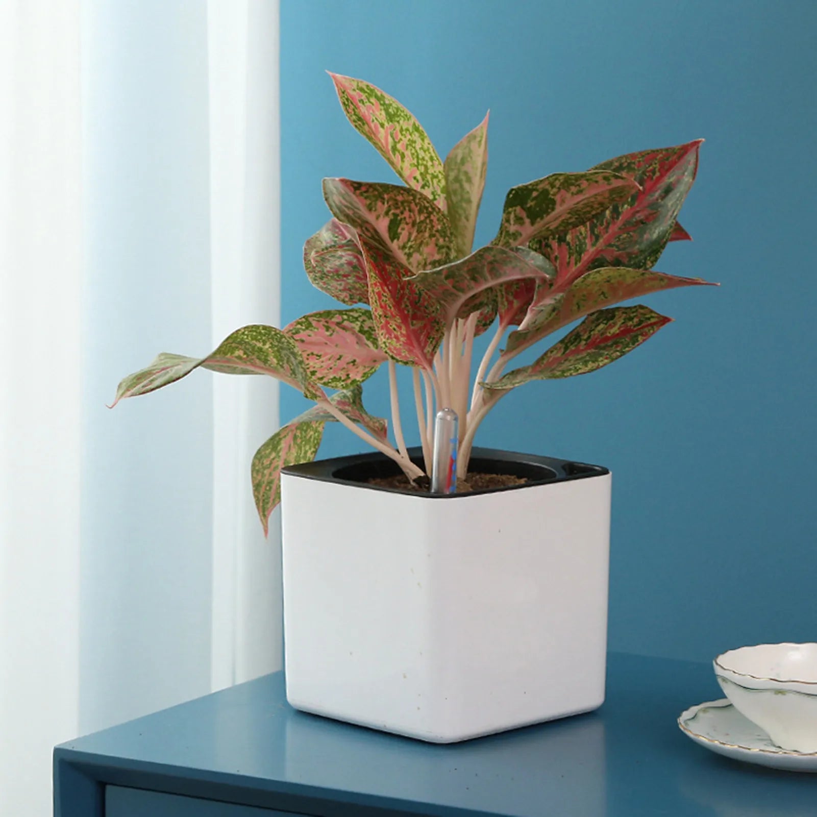 Self Watering Planter White Flower Pot with Water