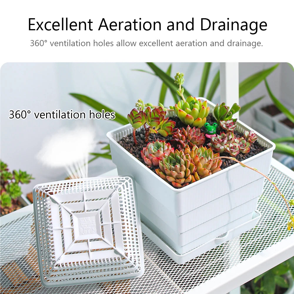 6 Pack Square Succulent Pots - Air Prunning Plastic Planters for Cactus