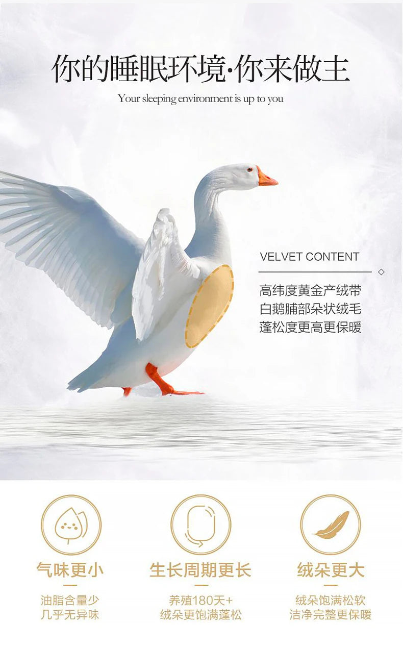 100% white goose down comforter