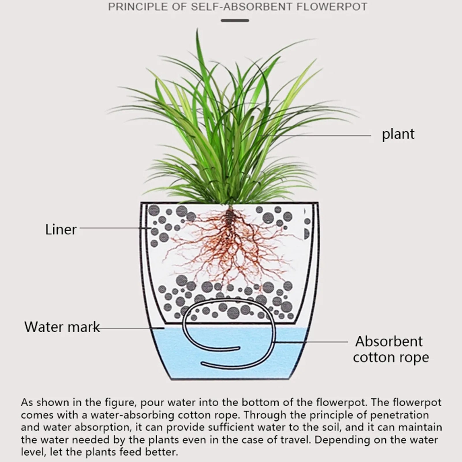 Self Watering Planter White Flower Pot with Water
