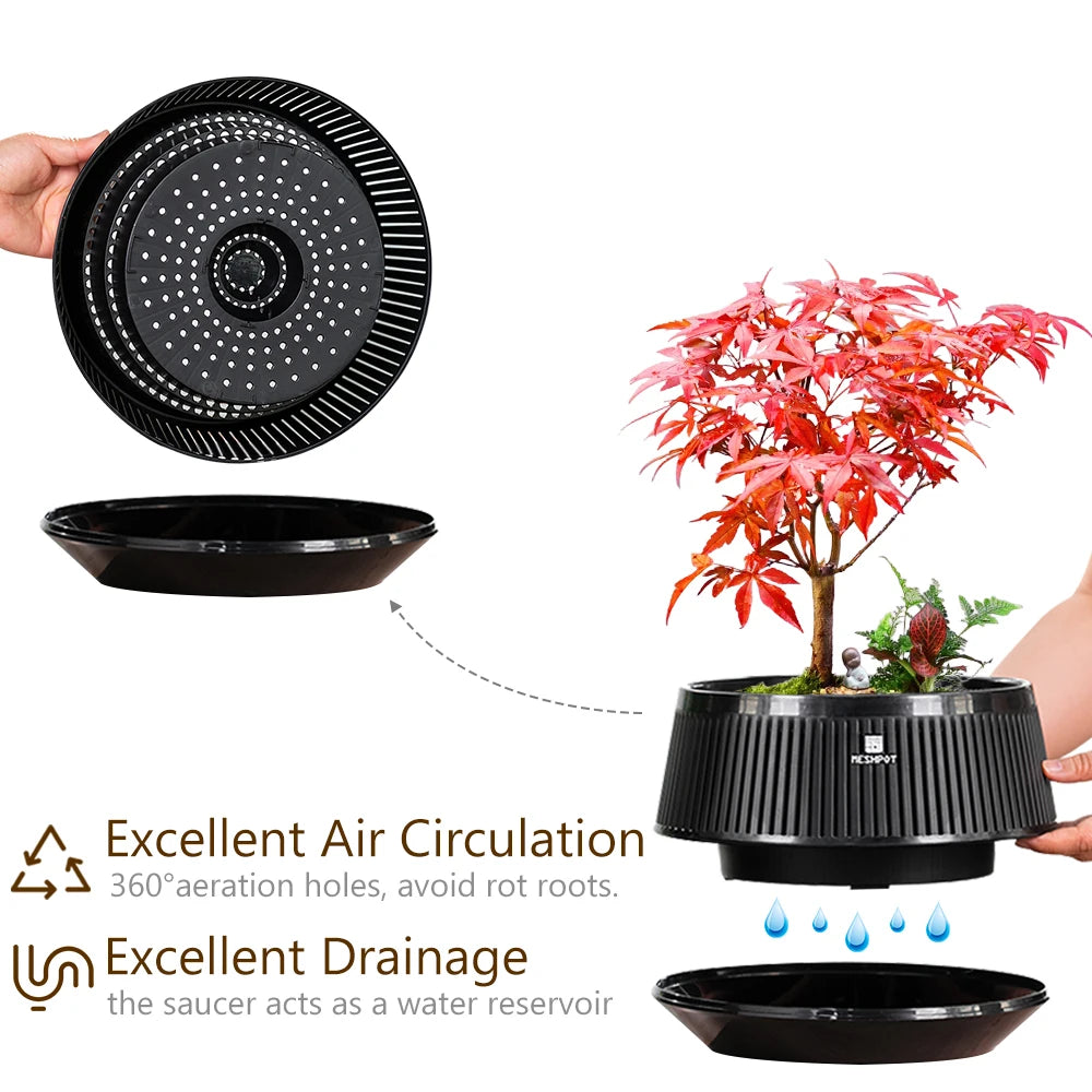 Meshpot Bonsai Pots with Drainage Tray and Excellent Airflow
