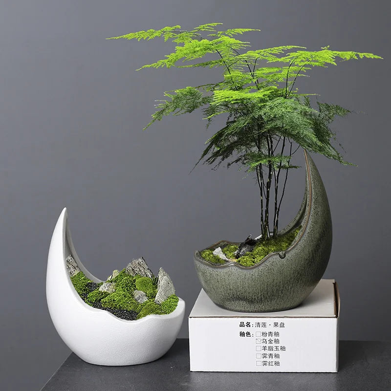 Rhinoceros Horn Shape Ceramic Flower Pot Green Plant Pot