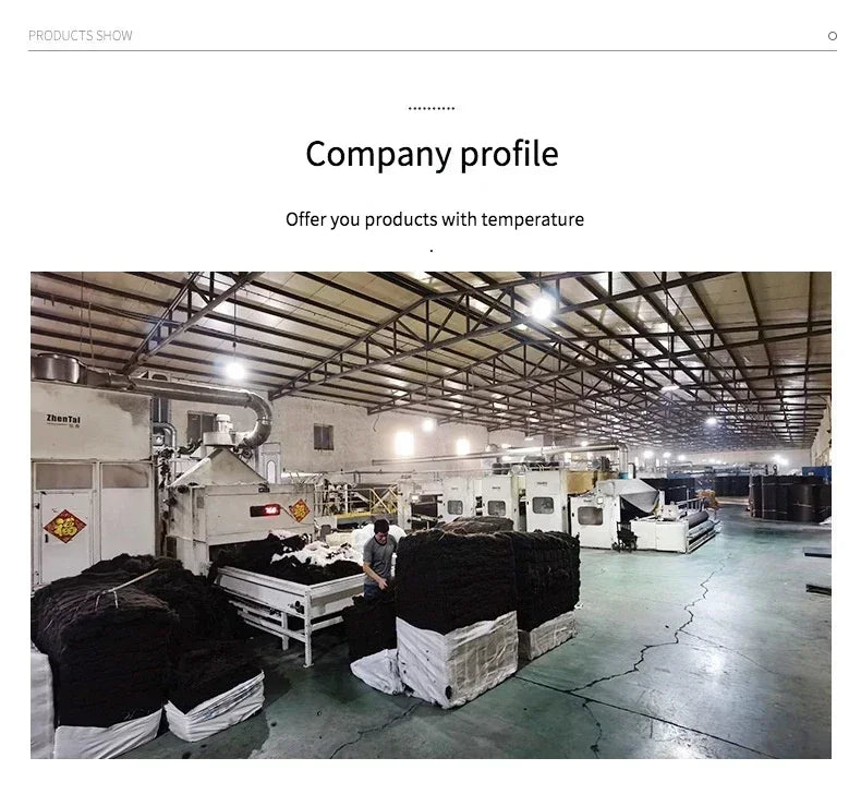 Modern Golden Luxury Carpet Large Living Room Decoration