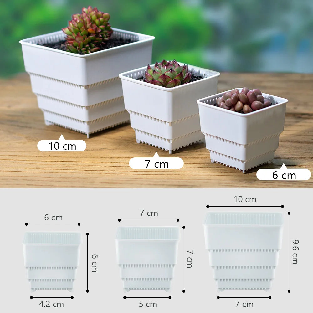 Meshpot Succulent Pots Succulent Planters with Tray